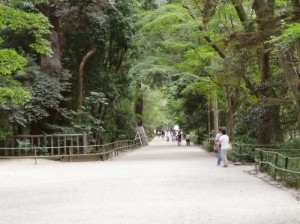 shimogamo04-500x373